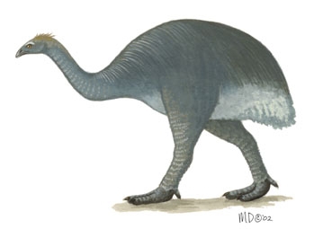 Dinornithidae